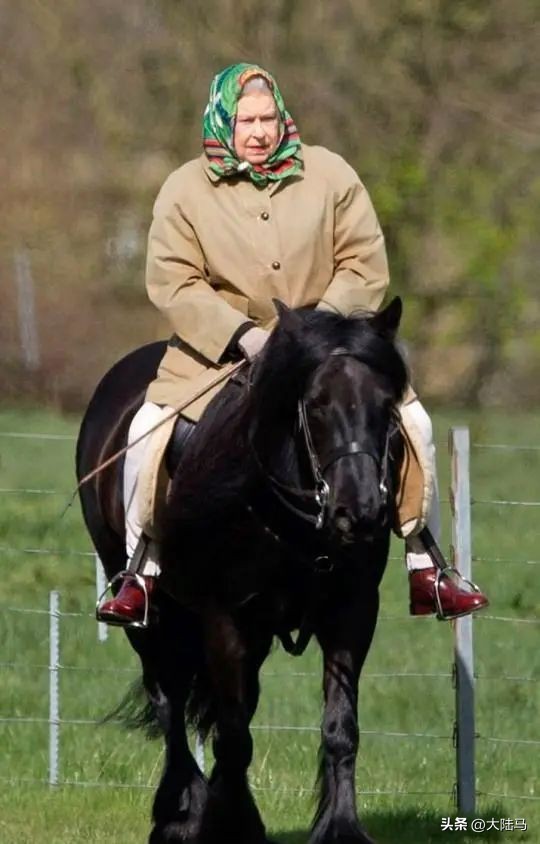 国家体育运动员从几岁开始培养,马术运动员十次参加奥运