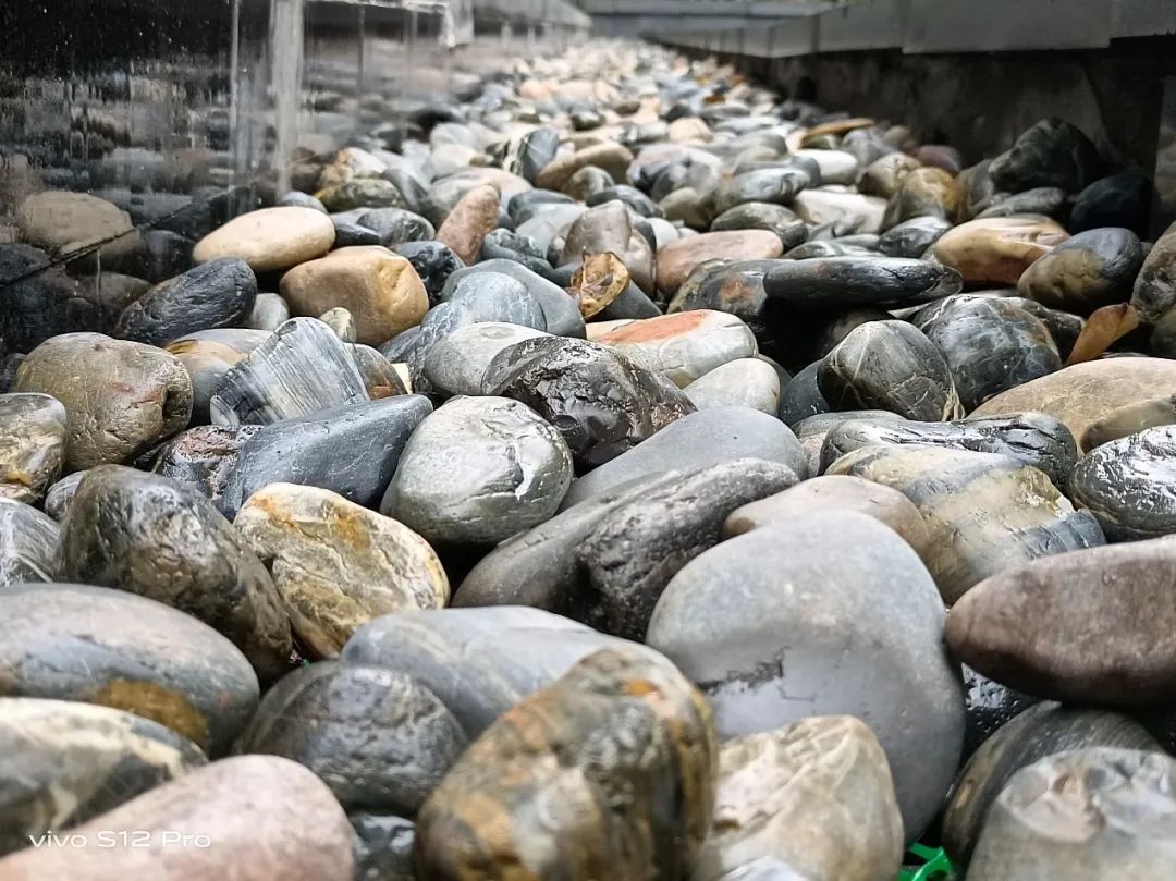 vivos12pro的缺点和不足,vivos12pro测评优缺点