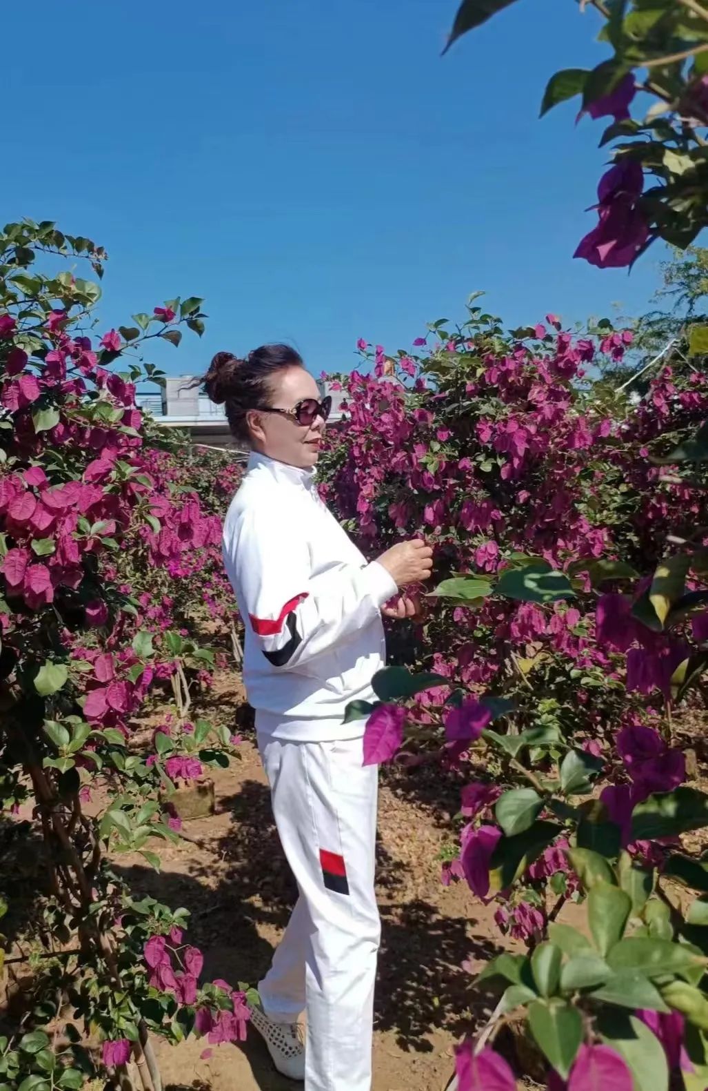 老伴儿祁隆完整版全部,老伴儿去世感人瞬间