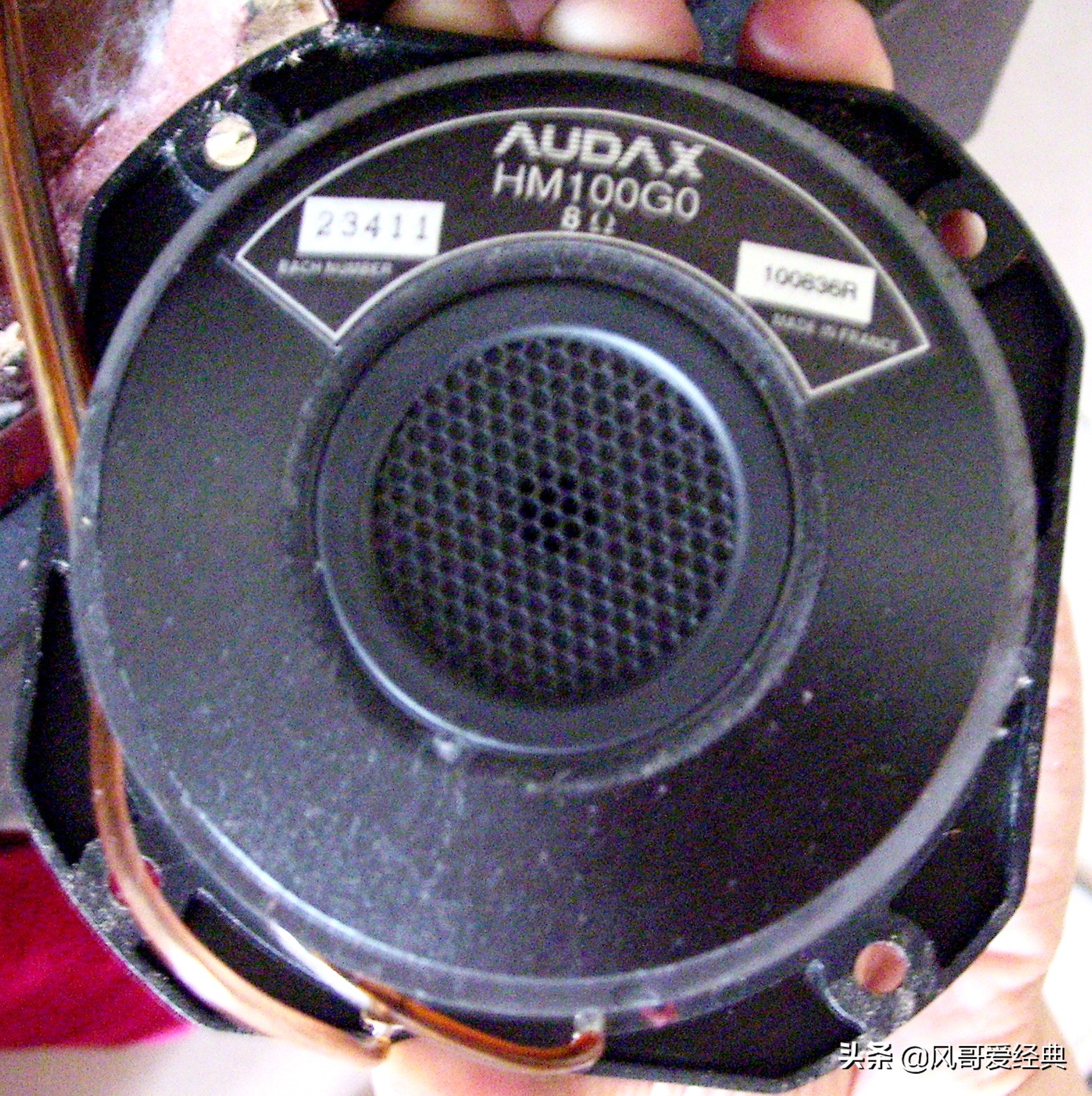 缂柉b40,缂柉b40闊崇