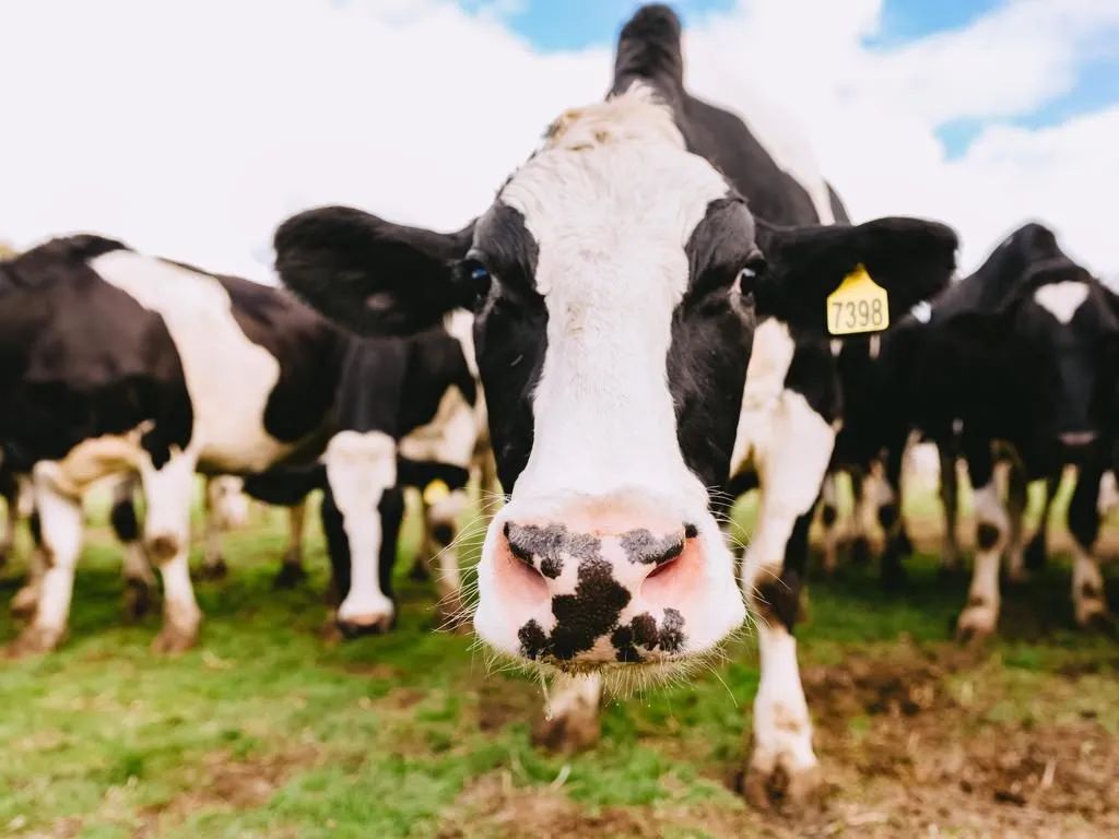 收藏贴|澳洲特色贸易产品和出口流程介绍