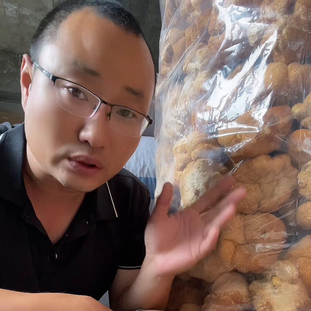 猴头菇粉和猴头菇片哪个效果更好,猴头菇打粉前需要清洗吗