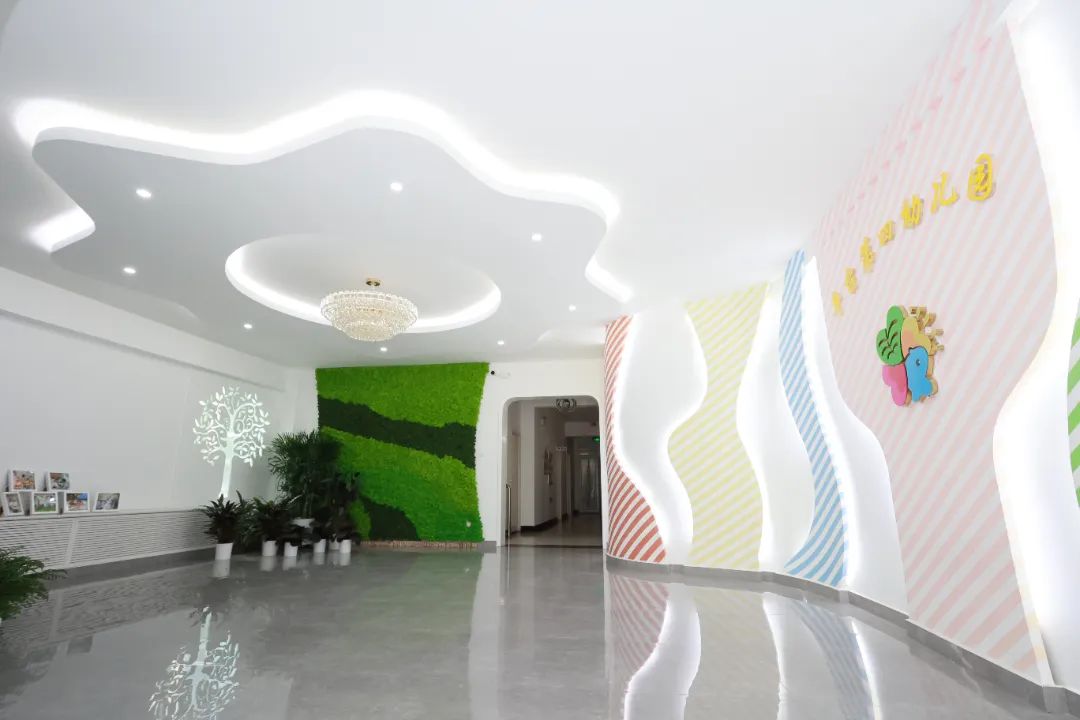 党建引领对学前教育发展的影响,党建引领强服务保障民生促发展