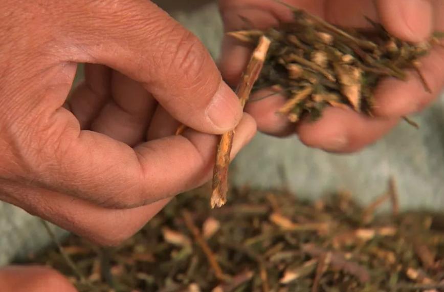 昔日拾荒少年靠变废为宝年入百万,80后小伙变废为宝养活全家