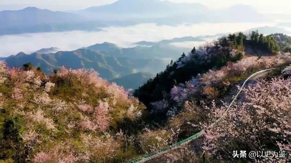 为什么日本有樱花节呢,日本为什么有樱花节呢