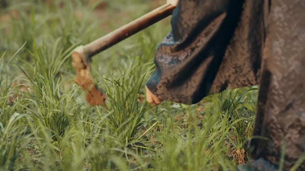 星汉灿烂越妃和宣皇后什么关系,星汉灿烂的越妃是什么地位