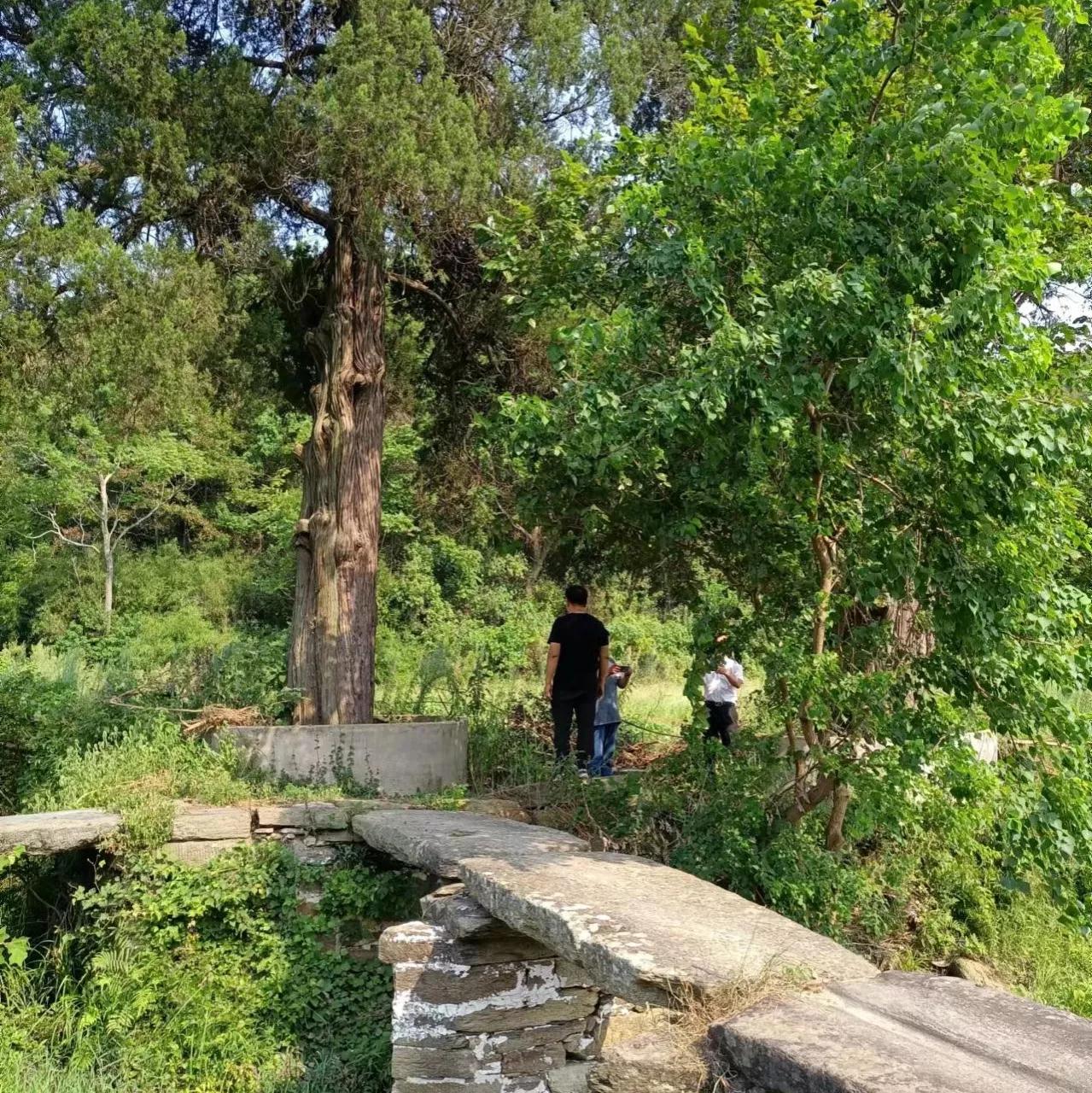 他不仅仅是古琴大师,他还是画家、篆刻家、书法家,二