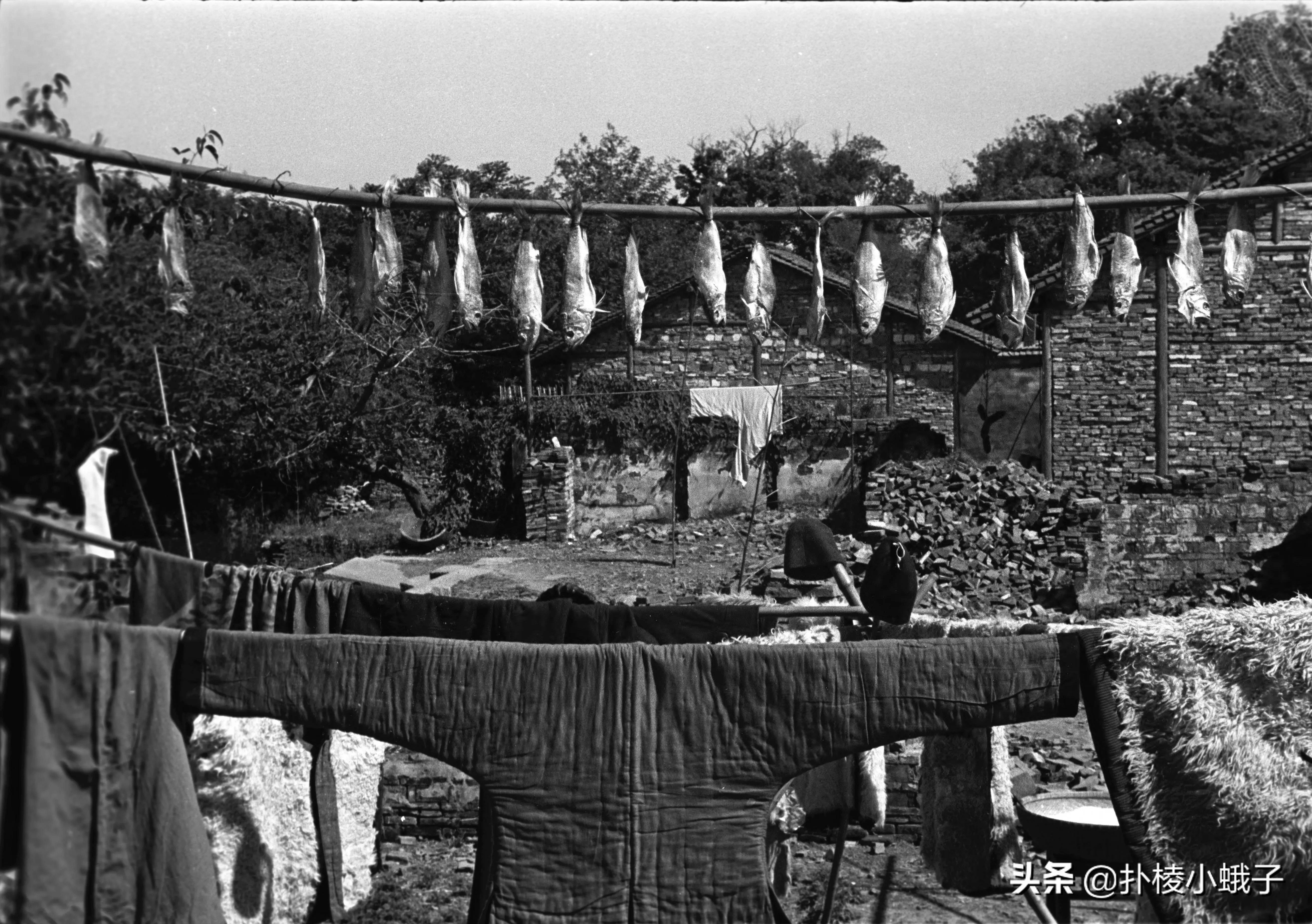 1987上海的珍贵影像,1949年上海解放珍贵影像