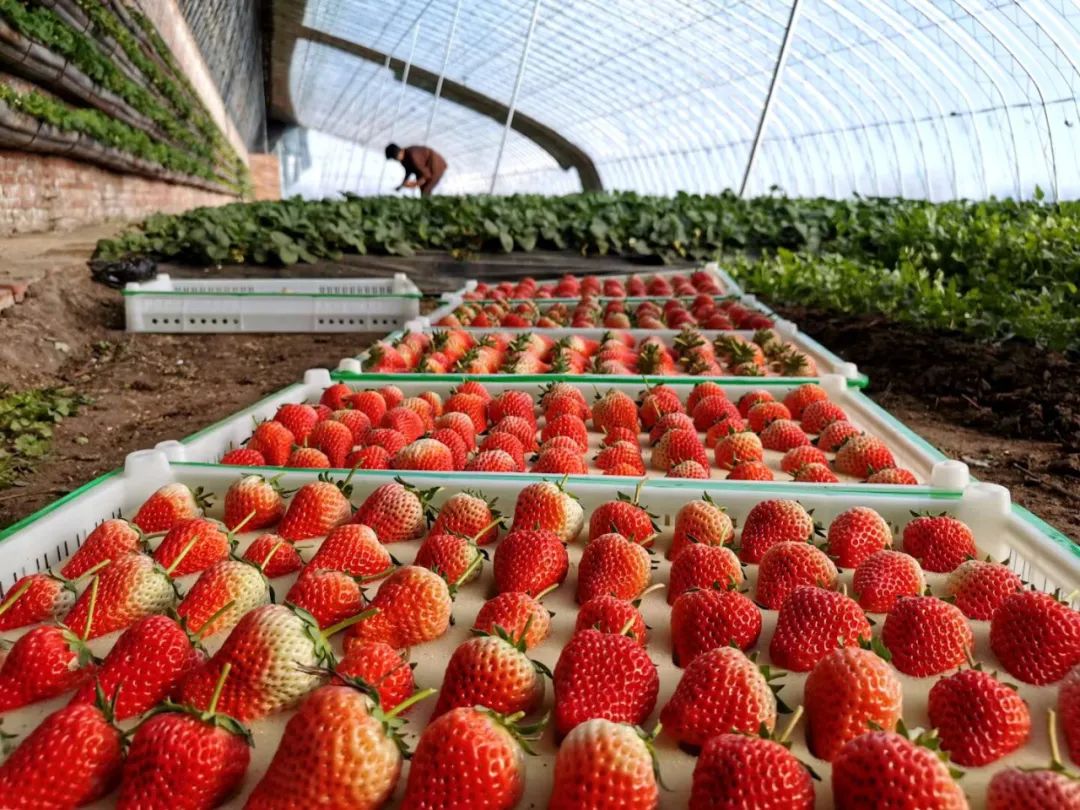 贵州省5起乡村振兴典型案例通报,乡村振兴中可以做哪些景观设计