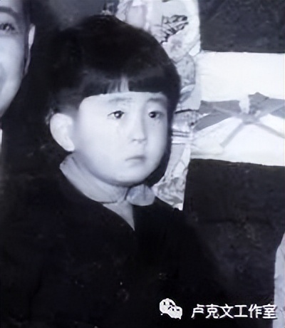 安倍晋三传卢克文,安倍晋三传