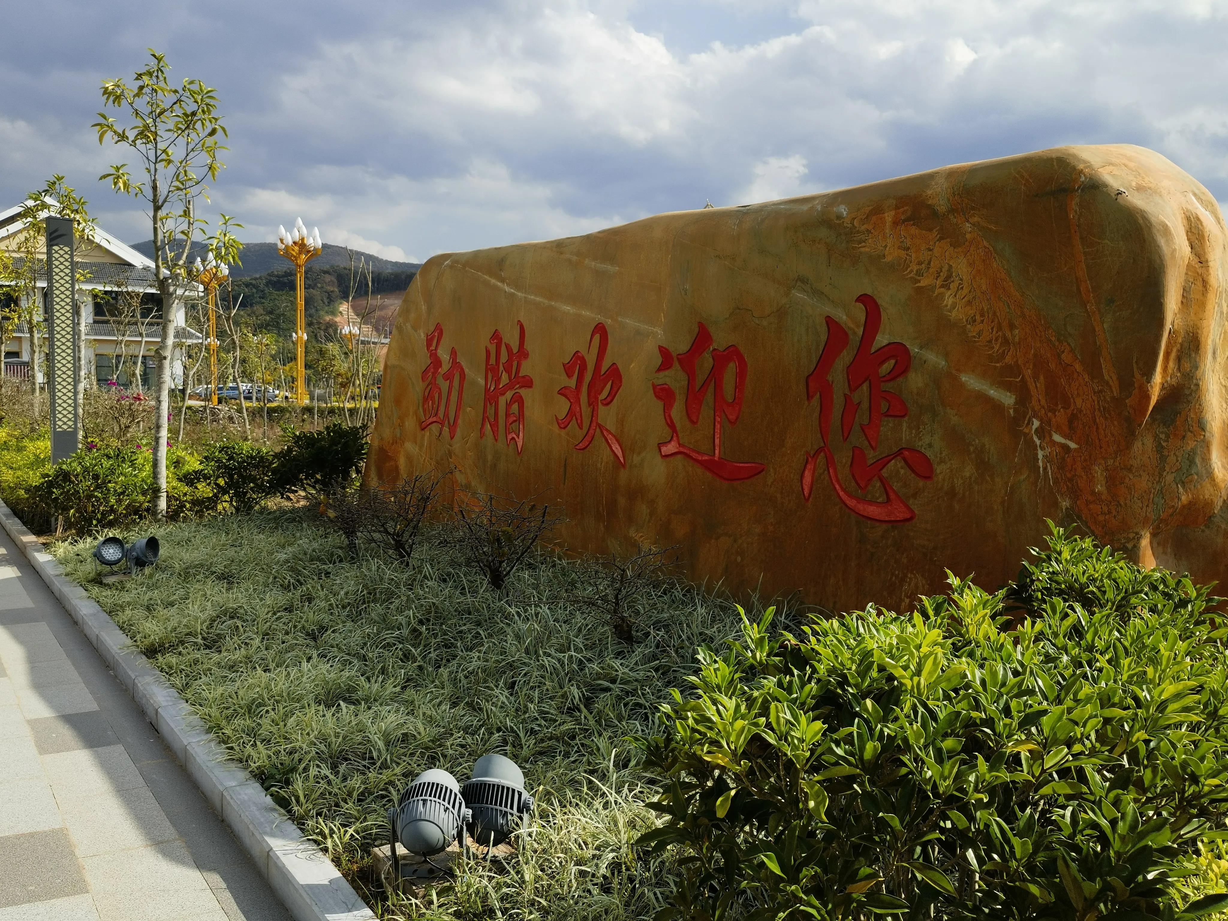 璧伴┈瑙傝姳瀹屾暣,璧伴┈瑙傝姳