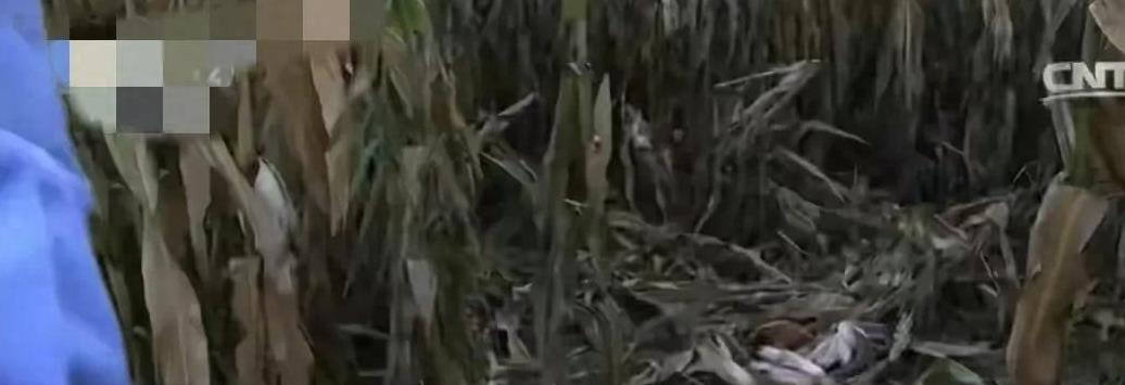 儿媳晒2000元年货，婆婆：啥时候回家？儿媳：不回，我儿子还没阳