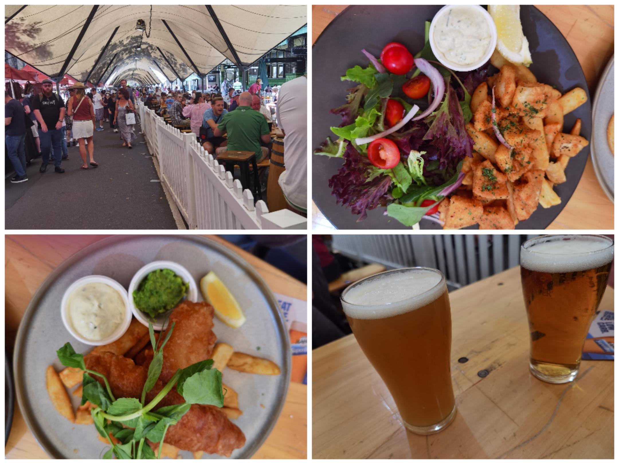 悉尼四天自由行,意犹未尽韩语版