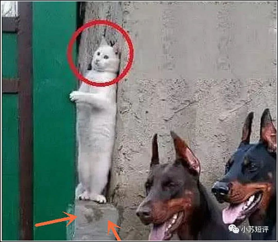 手机关机就没有行程码了吗,拔卡关机后会记录行程轨迹吗