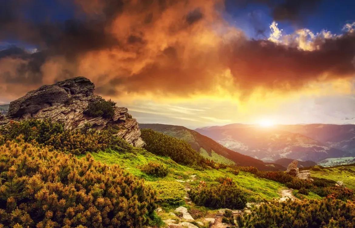 心理学有趣的小法则,三个心理学小技巧交给你