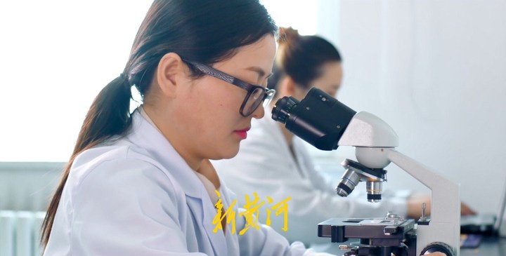 聊城市新旧动能转换九大产业,聊城市支柱产业名单