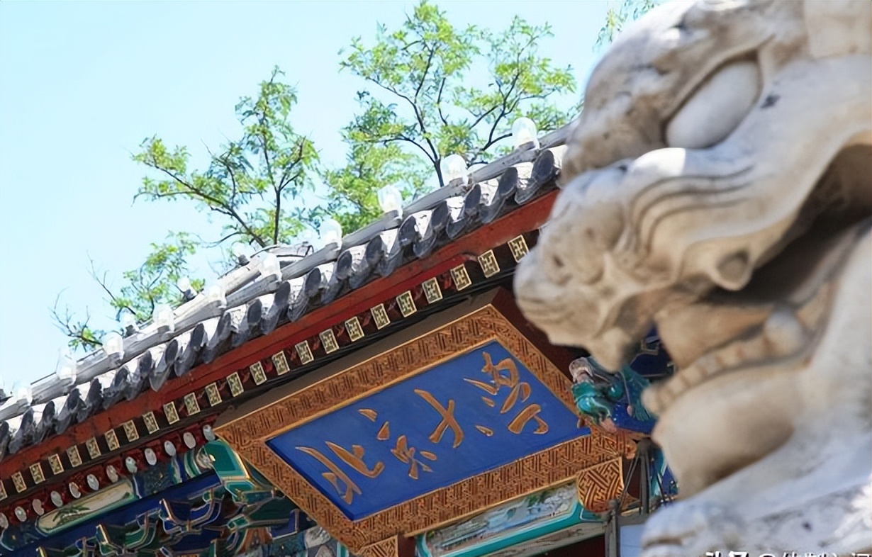 数学好适合学什么专业就业方向,就业前景好且不用学数学的专业