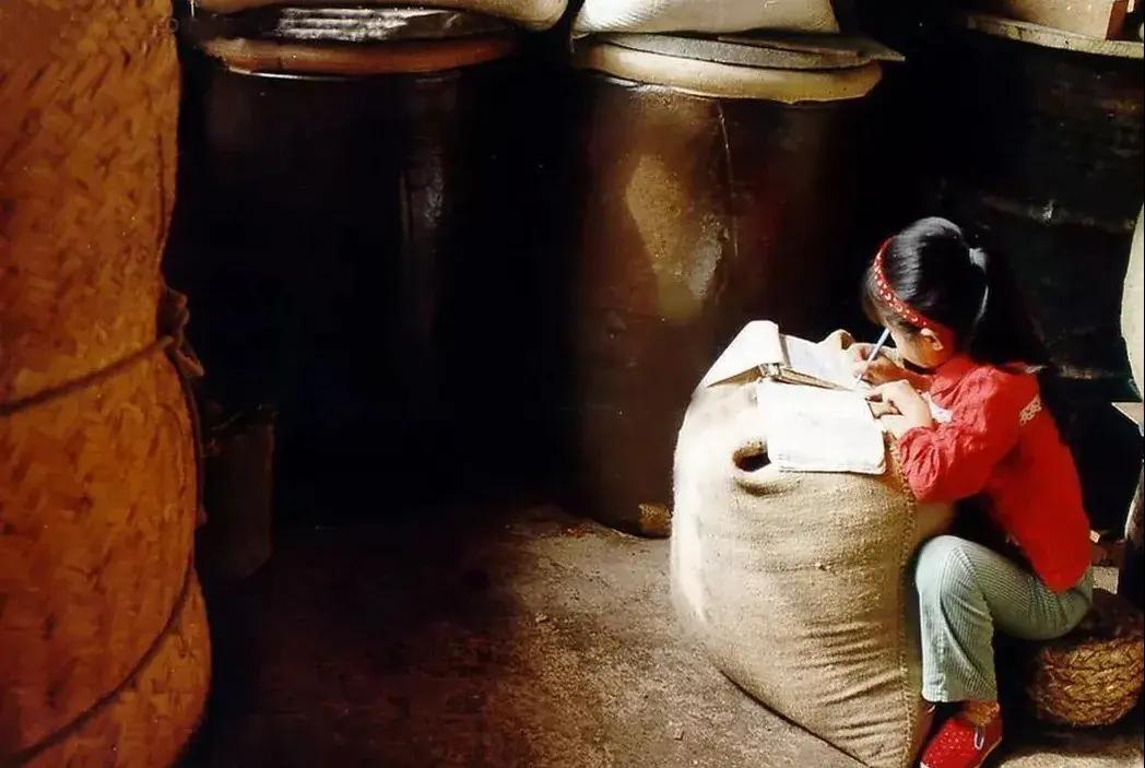 她写了一篇《卖米》,24岁葬于北京八宝山,撒贝宁亲自为她念悼词