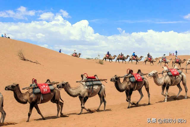 世界五大沙漠,内蒙古九大草原五大沙漠