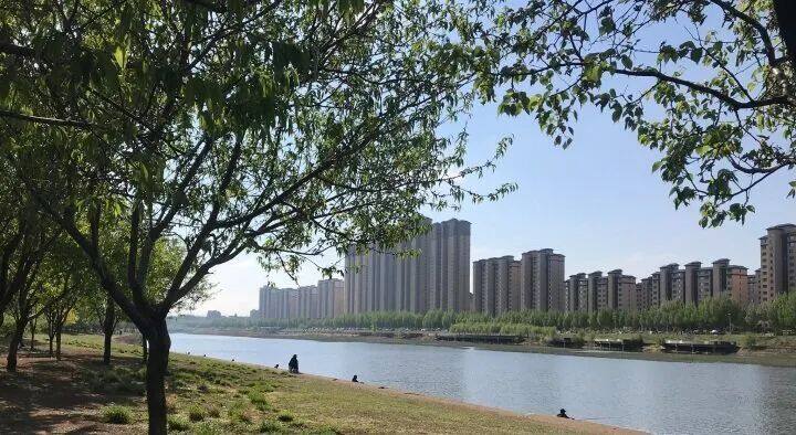 漫步南沙河，又是被“圈粉”的一天