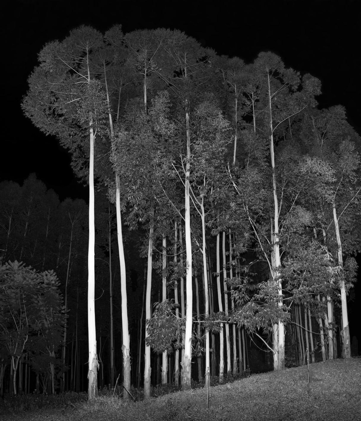 风景后期图片,风景后期