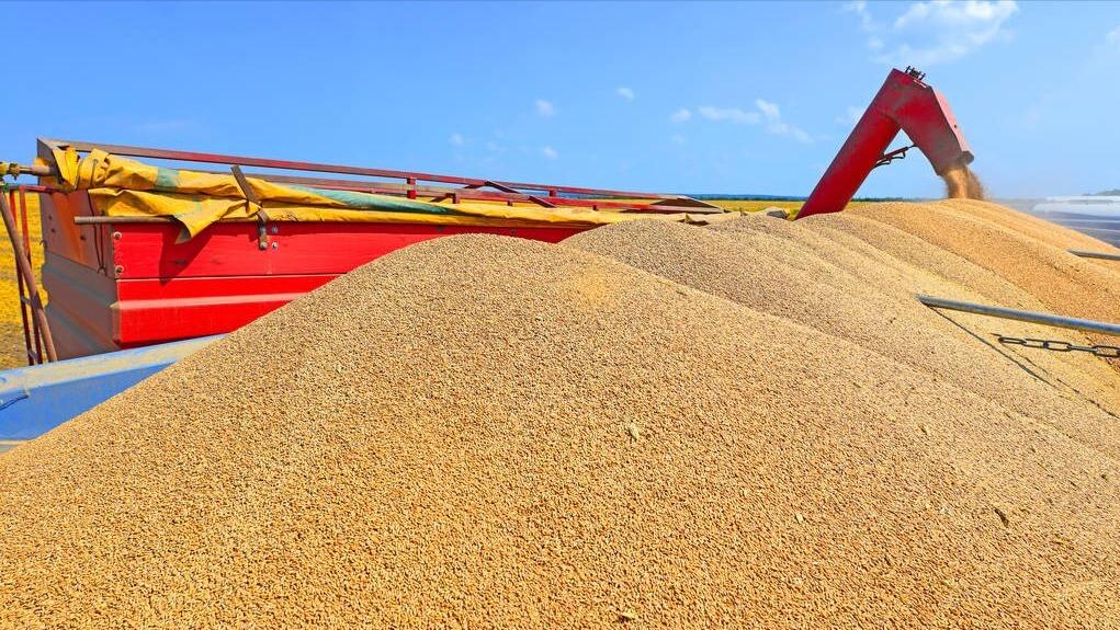 粮食产量1.39万亿斤能养活多少人,中国粮食产量vs美国粮食产量