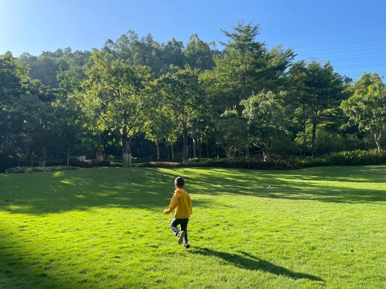 北京大学属于一本吗,北京大学是普通高校吗