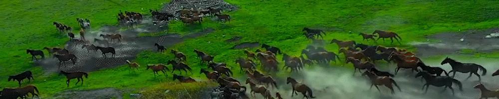 免费装的宽带靠不靠谱,为什么宽带明明正常却找不到wifi