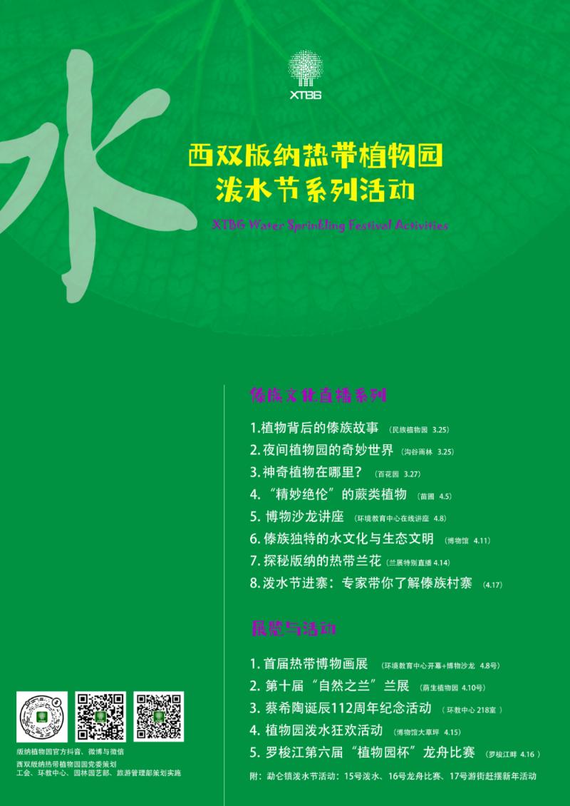 西双版纳泼水节活动攻略,西双版纳泼水节准备的怎么样了