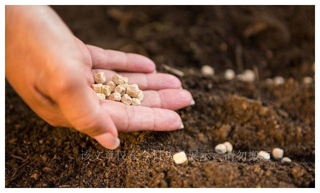 盘点我买过的假鞋,盘点我买过最坑的包