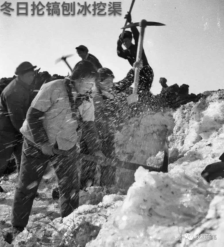 北大荒部队图片,北大荒武装部队