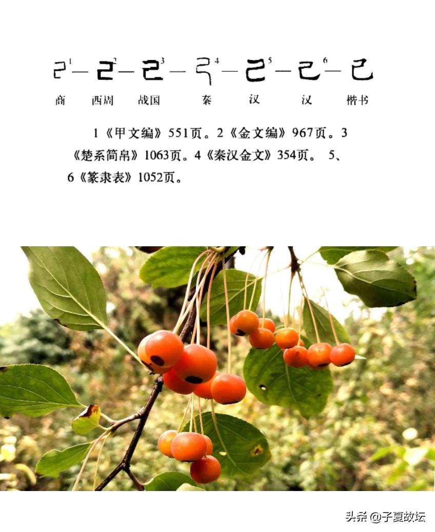 天干十个指什么,天干十神是什么意思对照表