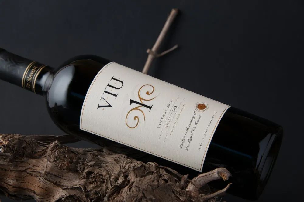 智利十八罗汉之一威玛,智利十八罗汉威玛