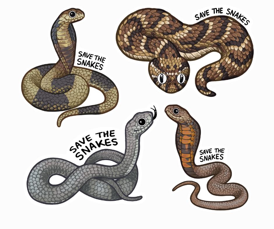 雄性眼镜王蛇捕杀雌性王蛇视频,眼镜王蛇繁衍过程