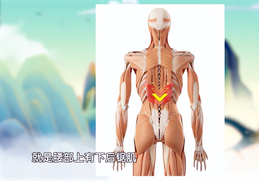 腰疼120分钟自愈方法,腰疼50岁最快缓解方法