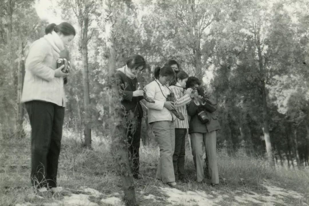 国产相机海鸥,国产海鸥数码单反相机