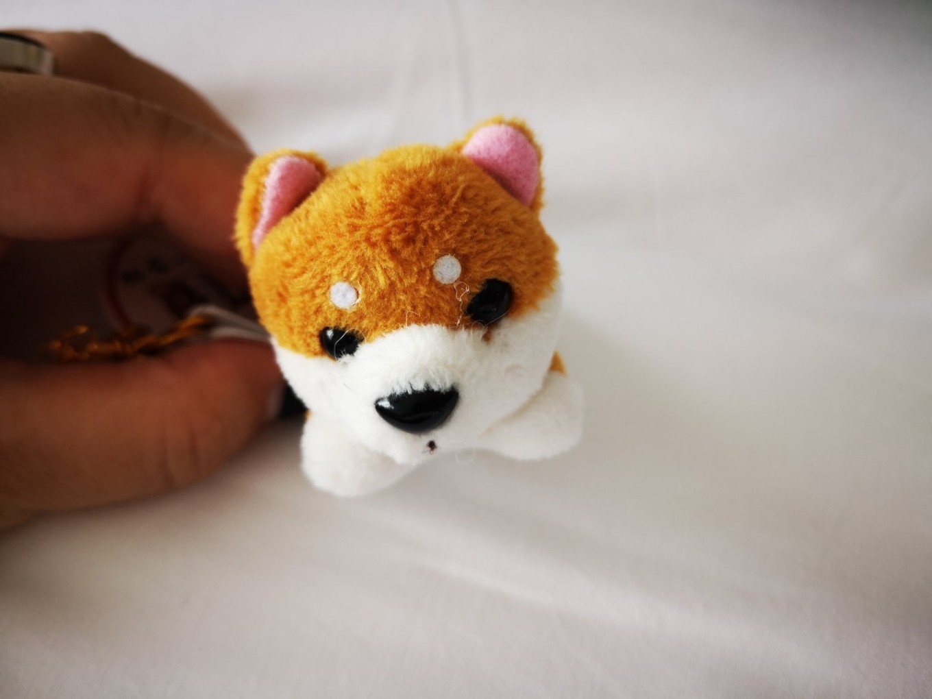 暑期档2019年,2019年暑期档