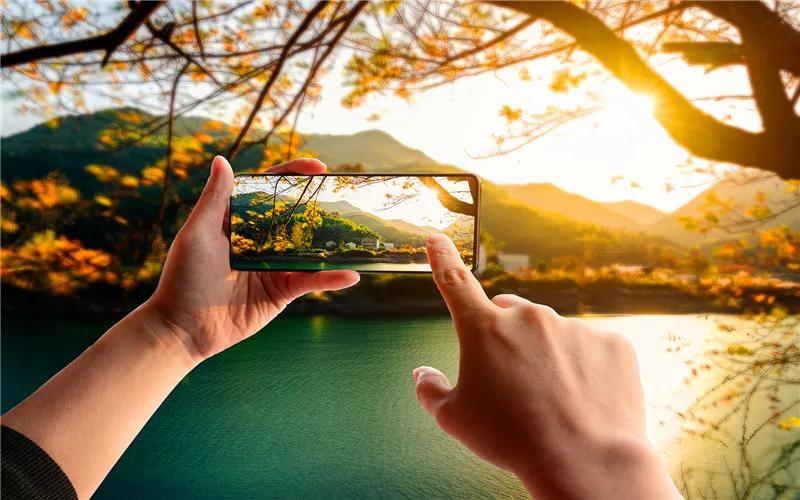 20万元在农村可以干些什么赚钱,农村年赚20万的项目