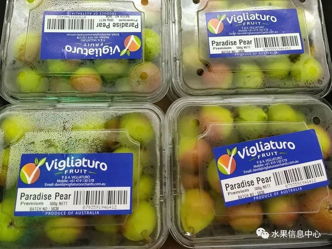 盘点那些迷你的东西,盘点不同样子的水果