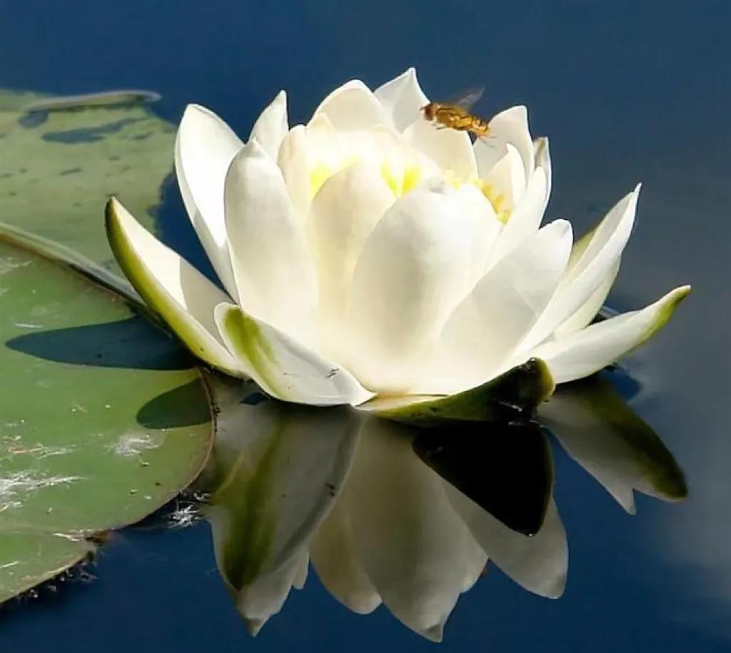 2022年，绿汀文学社巜天天诗刊》第71期