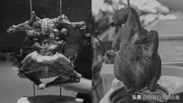 龙虾青龙和花龙区别,龙虾也是生物为什么我们要吃它