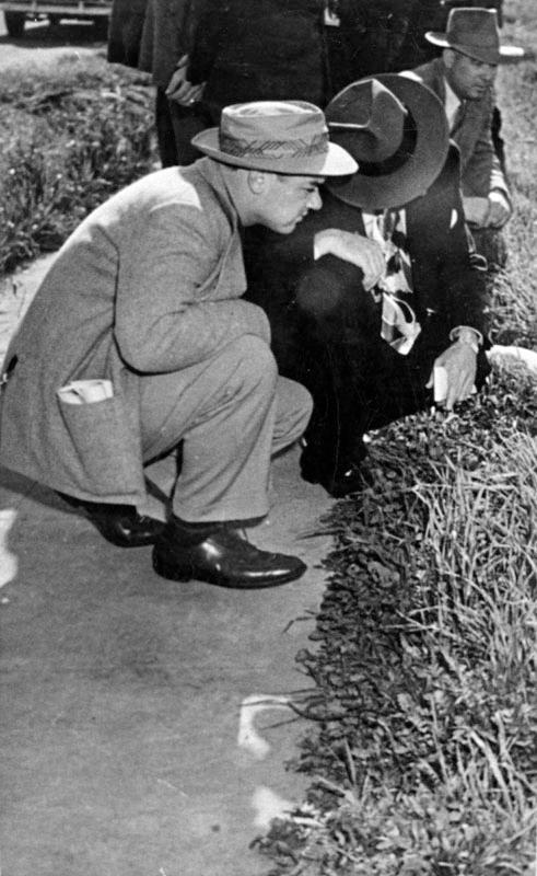 惊动fbi的水泥藏尸案完整版,惊动fbi的案件第4季