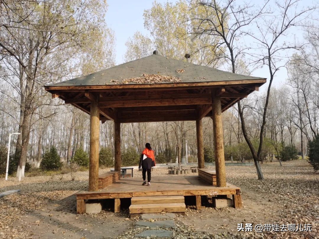 骑行国家森林公园,徒步骑行森林公园