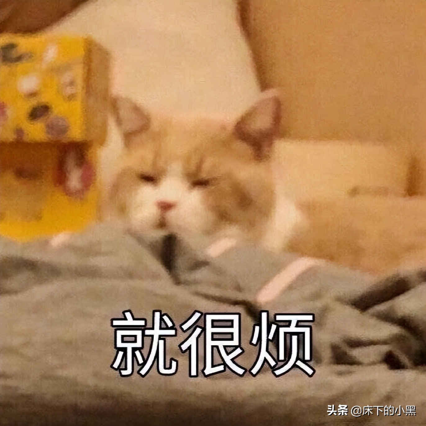 机械师f117-b键盘失灵怎么解决,windows7键盘失灵怎么解决