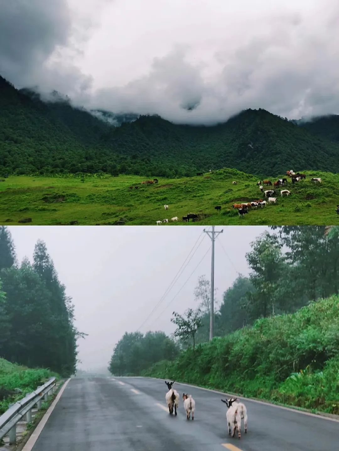 比成都好吃的火锅店,这座小城比杭州撩人美食不输潮汕