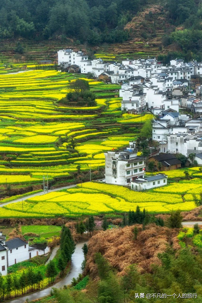 等疫情结束的优美句子,等疫情结束你最想做什么