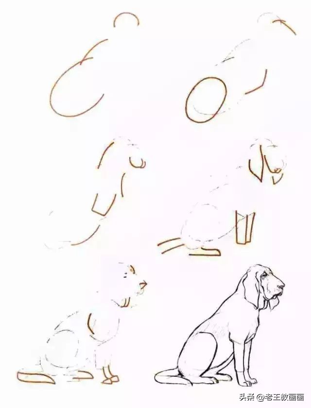 简单易学的简笔画学起来教孩子吧,二分钟教会孩子简笔画赶紧学起来