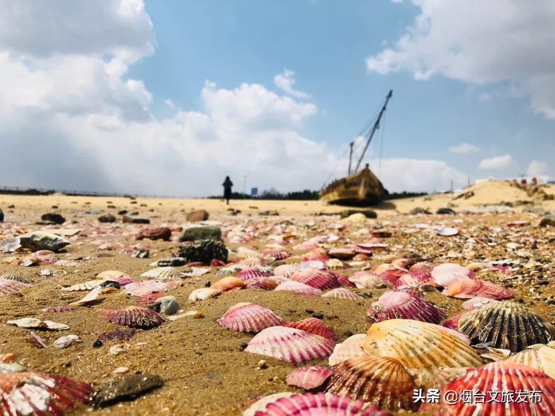 烟台养马岛夏季,烟台养马岛什么天气适合去