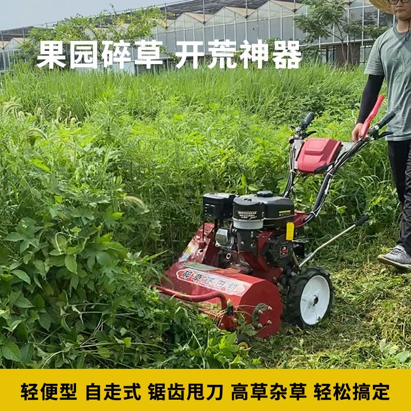 博山猕猴桃种植基地,猕猴桃产业现状及前景