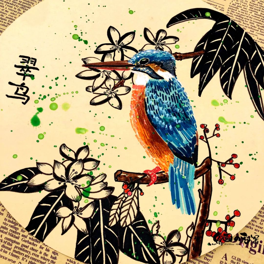 翠鸟育雏全集完整版,翠鸟生活环境